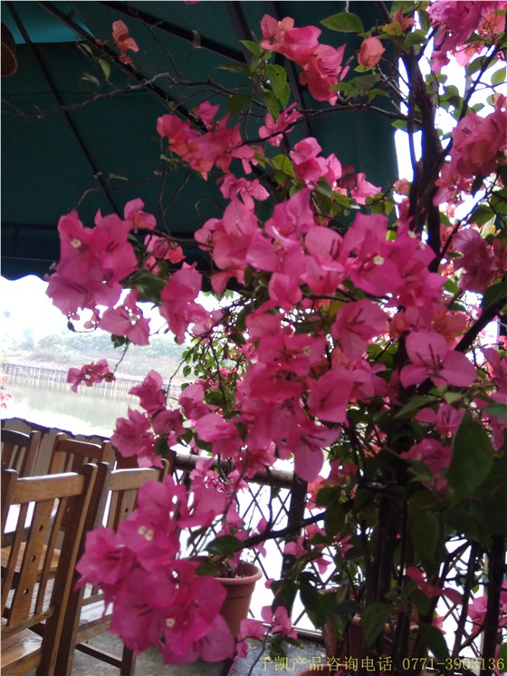 南寧不銹鋼水箱廠家千凱之燒烤活動，咨詢0771-3903136