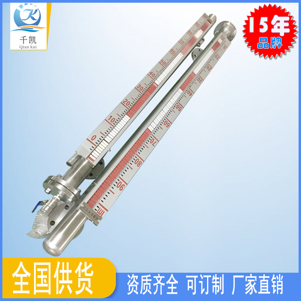 側(cè)立式磁翻板液位計